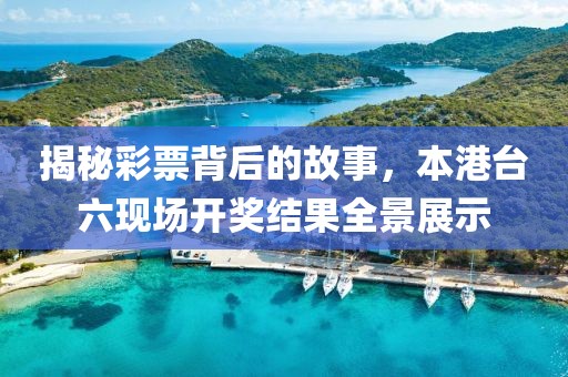 揭秘彩票背后的故事，本港台六现场开奖结果全景展示
