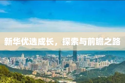 新华优选成长，探索与前瞻之路