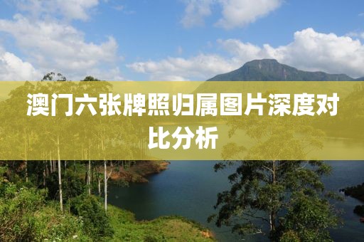 澳门六张牌照归属图片深度对比分析