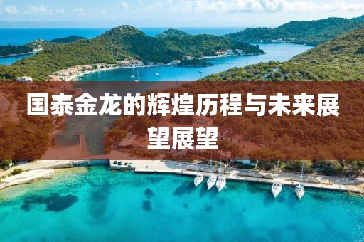 国泰金龙的辉煌历程与未来展望展望