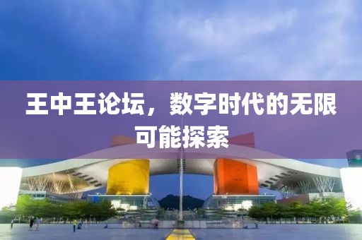 王中王论坛，数字时代的无限可能探索