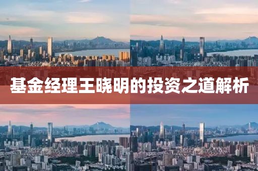 基金经理王晓明的投资之道解析