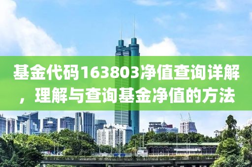 基金代码163803净值查询详解，理解与查询基金净值的方法