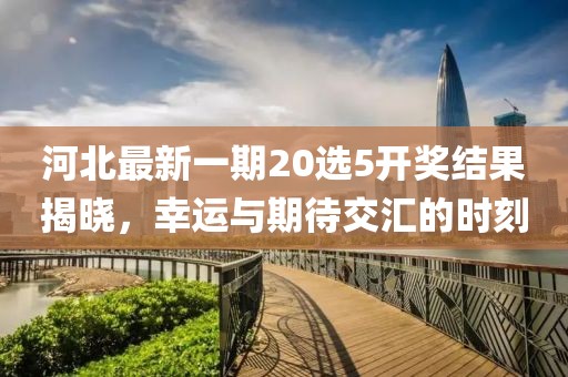 河北最新一期20选5开奖结果揭晓，幸运与期待交汇的时刻