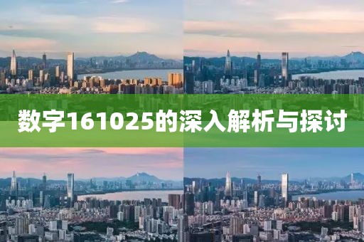数字161025的深入解析与探讨