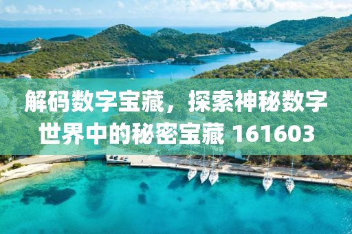 解码数字宝藏，探索神秘数字世界中的秘密宝藏 161603