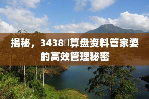 揭秘，3438鉄算盘资料管家婆的高效管理秘密