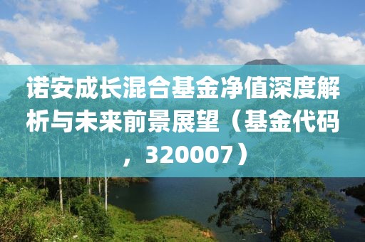 诺安成长混合基金净值深度解析与未来前景展望（基金代码，320007）