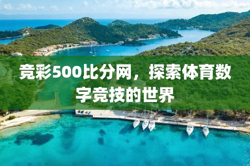 竞彩500比分网，探索体育数字竞技的世界