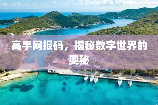 高手网报码，揭秘数字世界的奥秘