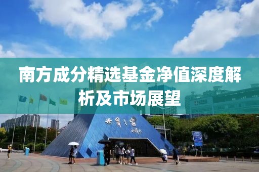 南方成分精选基金净值深度解析及市场展望