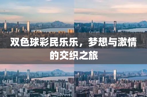 双色球彩民乐乐，梦想与激情的交织之旅