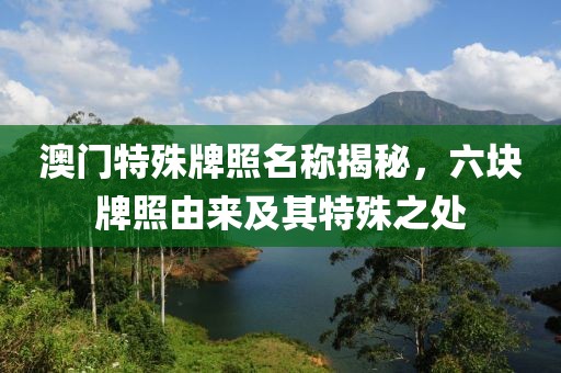 澳门特殊牌照名称揭秘，六块牌照由来及其特殊之处