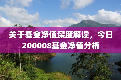 关于基金净值深度解读，今日200008基金净值分析