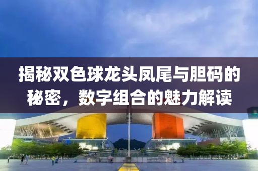 揭秘双色球龙头凤尾与胆码的秘密，数字组合的魅力解读
