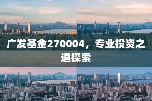 广发基金270004，专业投资之道探索