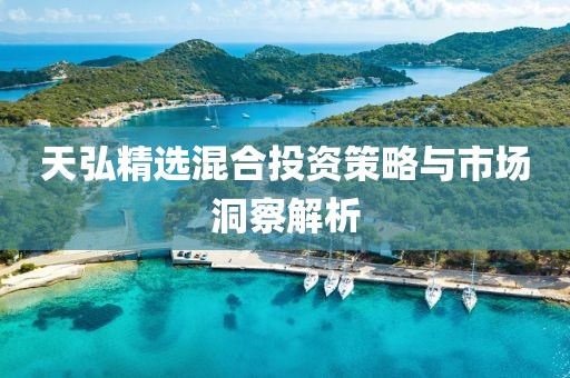 天弘精选混合投资策略与市场洞察解析