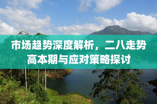 市场趋势深度解析，二八走势高本期与应对策略探讨
