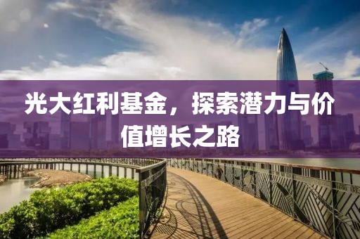 光大红利基金，探索潜力与价值增长之路