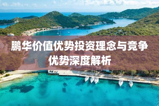 鹏华价值优势投资理念与竞争优势深度解析