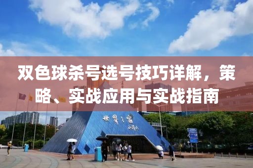 双色球杀号选号技巧详解，策略、实战应用与实战指南
