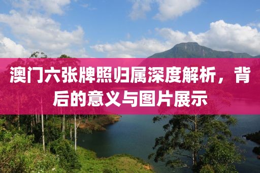 澳门六张牌照归属深度解析，背后的意义与图片展示