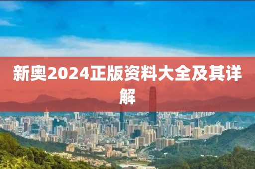 新奥2024正版资料大全及其详解