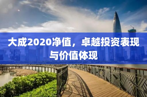 大成2020净值，卓越投资表现与价值体现