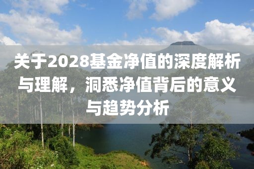 关于2028基金净值的深度解析与理解，洞悉净值背后的意义与趋势分析