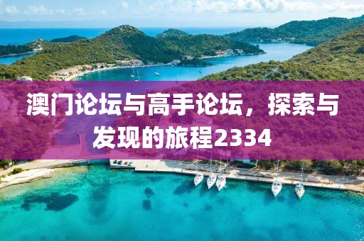 澳门论坛与高手论坛，探索与发现的旅程2334