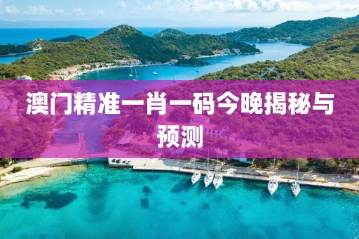 澳门精准一肖一码今晚揭秘与预测