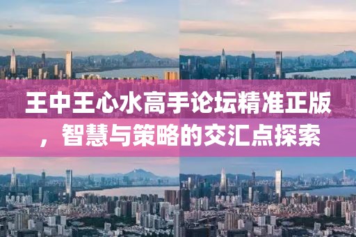 王中王心水高手论坛精准正版，智慧与策略的交汇点探索