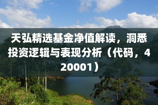 天弘精选基金净值解读，洞悉投资逻辑与表现分析（代码，420001）