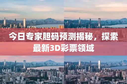 今日专家胆码预测揭秘，探索最新3D彩票领域