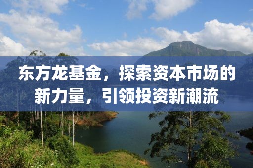 东方龙基金，探索资本市场的新力量，引领投资新潮流