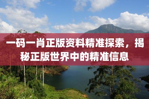 一码一肖正版资料精准探索，揭秘正版世界中的精准信息