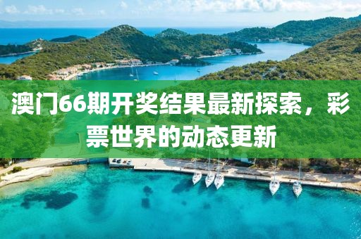 澳门66期开奖结果最新探索，彩票世界的动态更新