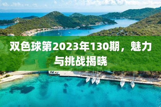 双色球第2023年130期，魅力与挑战揭晓