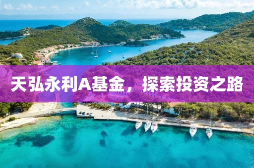 天弘永利A基金，探索投资之路