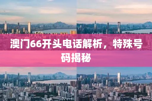 澳门66开头电话解析，特殊号码揭秘