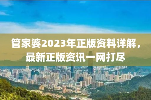 管家婆2023年正版资料详解，最新正版资讯一网打尽