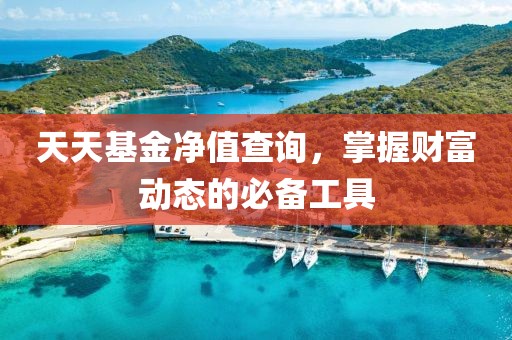 天天基金净值查询，掌握财富动态的必备工具