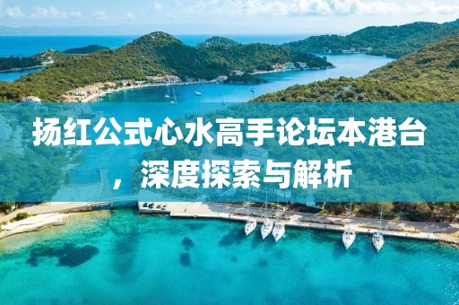 扬红公式心水高手论坛本港台，深度探索与解析