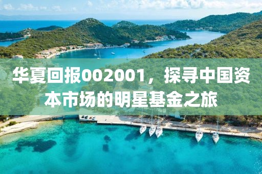 华夏回报002001，探寻中国资本市场的明星基金之旅