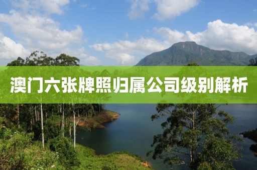 澳门六张牌照归属公司级别解析