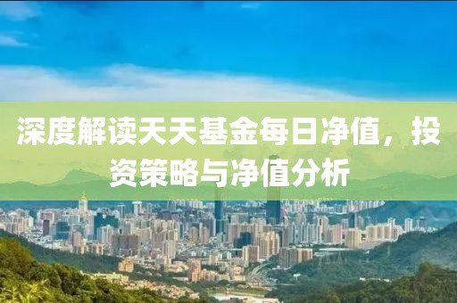 深度解读天天基金每日净值，投资策略与净值分析