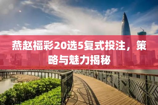燕赵福彩20选5复式投注，策略与魅力揭秘
