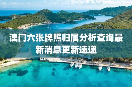 澳门六张牌照归属分析查询最新消息更新速递