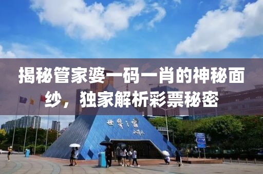 揭秘管家婆一码一肖的神秘面纱，独家解析彩票秘密