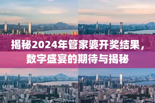 揭秘2024年管家婆开奖结果，数字盛宴的期待与揭秘